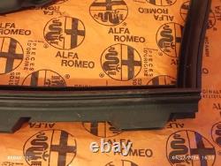 Alfa Romeo Alfetta GT GTV Left Front Door Window Seal Flap 116105524500