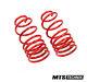 Mtz Lowering Springs For Alfa Romeo Alfetta Gt 116 All Engine Versions