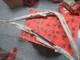 Original Alfa Romeo Alfetta Gt Gtv Series 1 Complete New Windshield Frame
