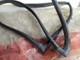 Rear Window Windshield Seal For Alfa Romeo Alfetta 60728041 Oem