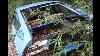 Alfa Romeo Alfetta Gt E Simca 1301 Disperse In Un Bosco
